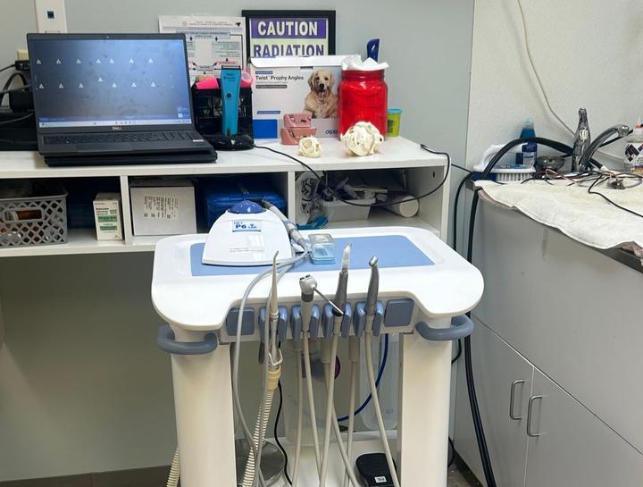 $city Pet Dentist