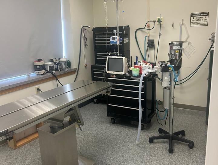 $City Veterinary Surgeries